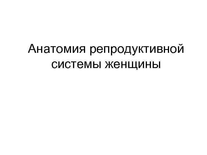 Анатомия репродуктивной системы женщины 