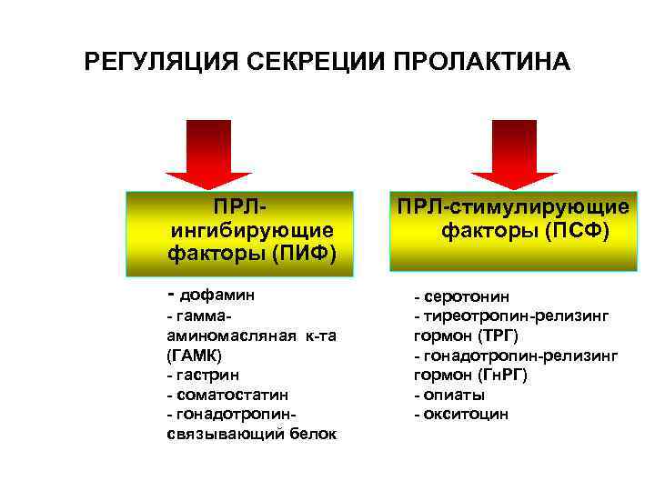 РЕГУЛЯЦИЯ СЕКРЕЦИИ ПРОЛАКТИНА ПРЛингибирующие факторы (ПИФ) - дофамин - гаммааминомасляная к-та (ГАМК) - гастрин