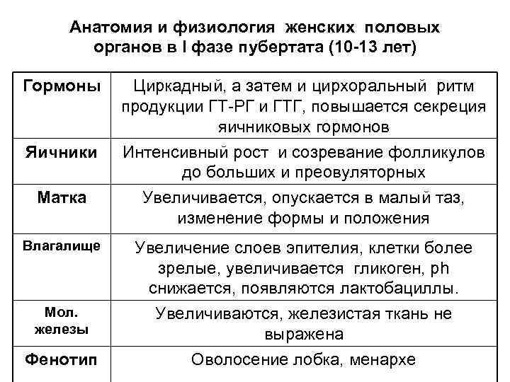 Анатомия и физиология женских половых органов презентация