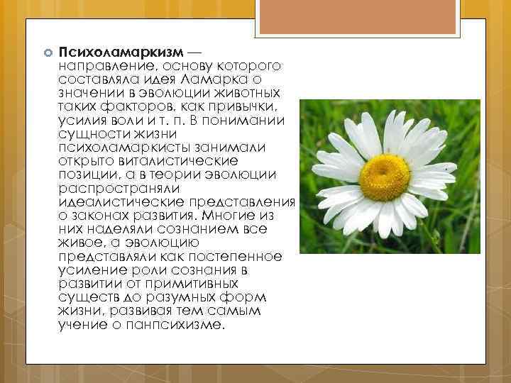  Психоламаркизм — направление, основу которого составляла идея Ламарка о значении в эволюции животных