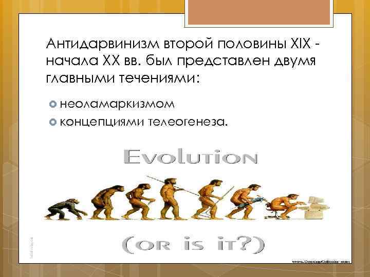 Антидарвинизм второй половины XIX начала XX вв. был представлен двумя главными течениями: неоламаркизмом концепциями