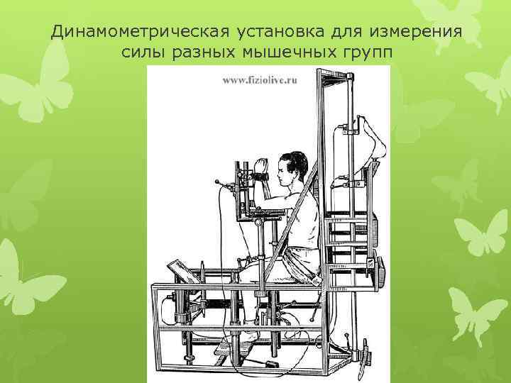 Динамометрическая установка для измерения силы разных мышечных групп 