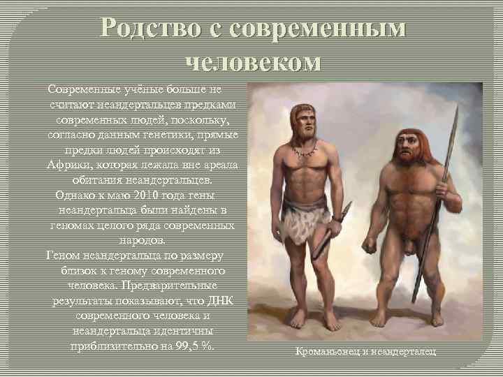 Предки современного человека. Предок человека и современный человек. Эволюция человека неандерталец.