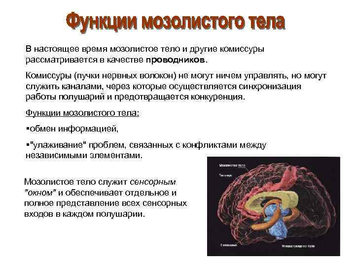 Рассечение мозолистого тела