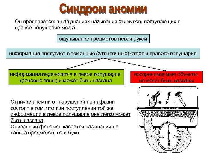 Он проявляется: в нарушениях называния стимулов, поступающих в правое полушарие мозга. ощупывание предметов левой