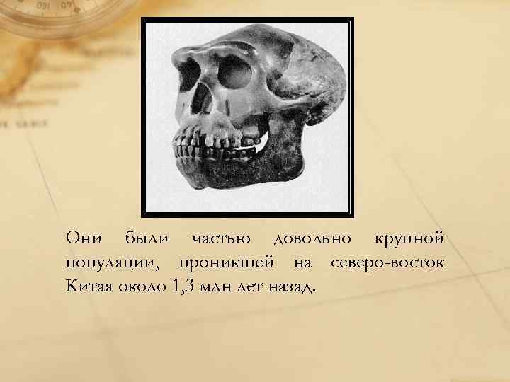 Они были частью довольно крупной популяции, проникшей на северо-восток Китая около 1, 3 млн