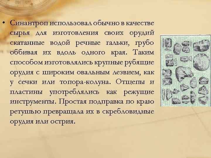  • Синантроп использовал обычно в качестве сырья для изготовления своих орудий скатанные водой