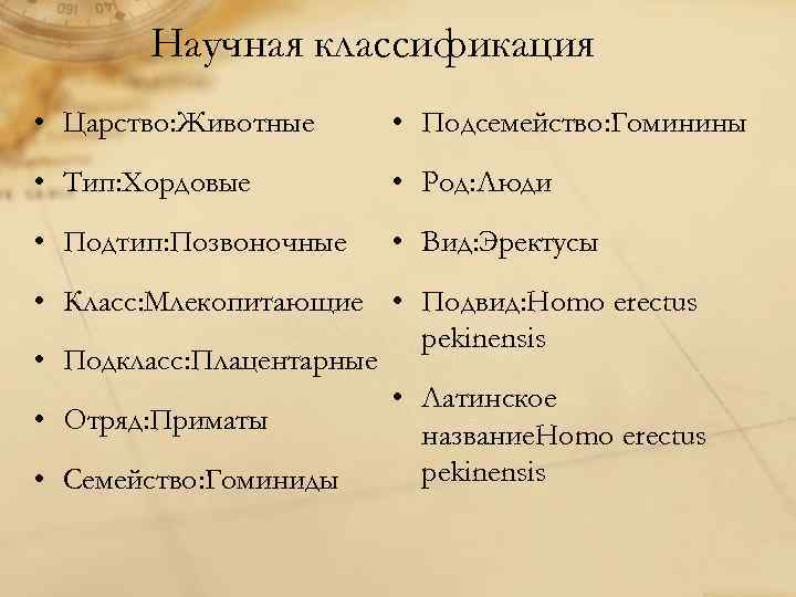 Научная классификация • Царство: Животные • Подсемейство: Гоминины • Тип: Хордовые • Род: Люди