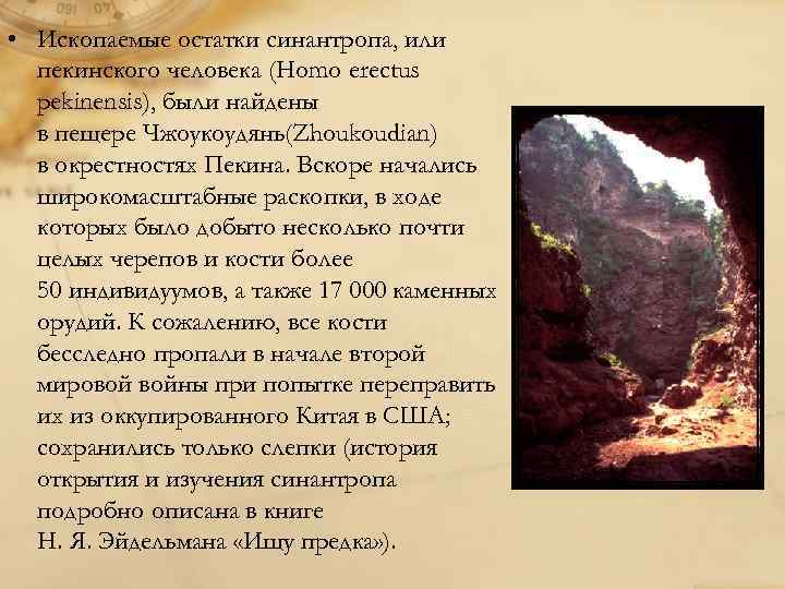  • Ископаемые остатки синантропа, или пекинского человека (Homo erectus pekinensis), были найдены в