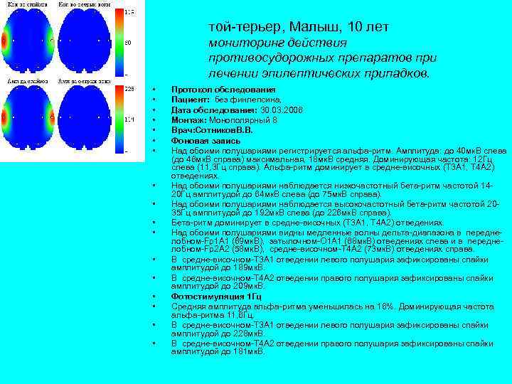 той-терьер, Малыш, 10 лет мониторинг действия противосудорожных препаратов при лечении эпилептических припадков. • •