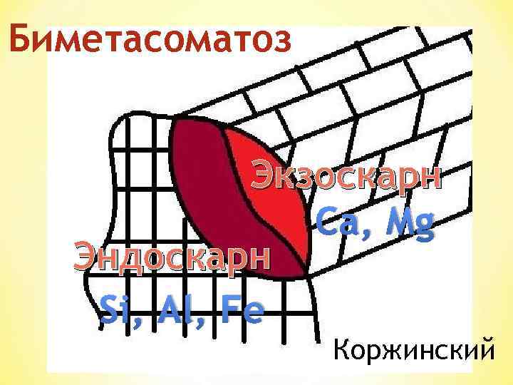 Биметасоматоз Экзоскарн Ca, Mg Эндоскарн Si, Al, Fe Коржинский 