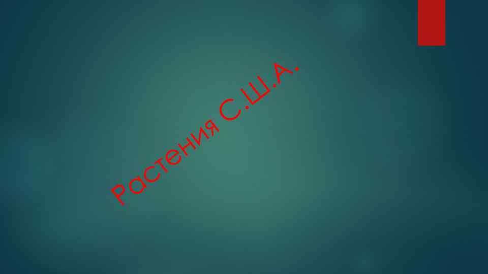 . А . . Ш С я и н а Р е т с