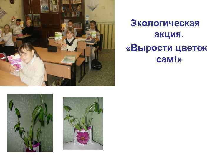 Экологическая акция. «Вырости цветок сам!» 
