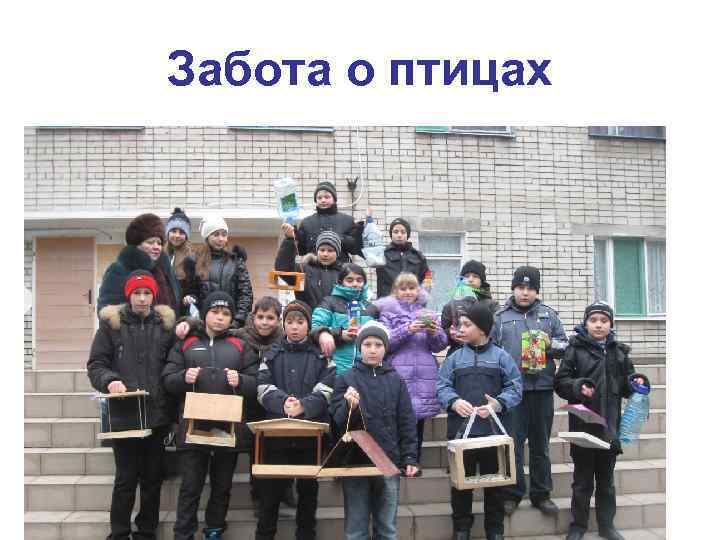 Забота о птицах 
