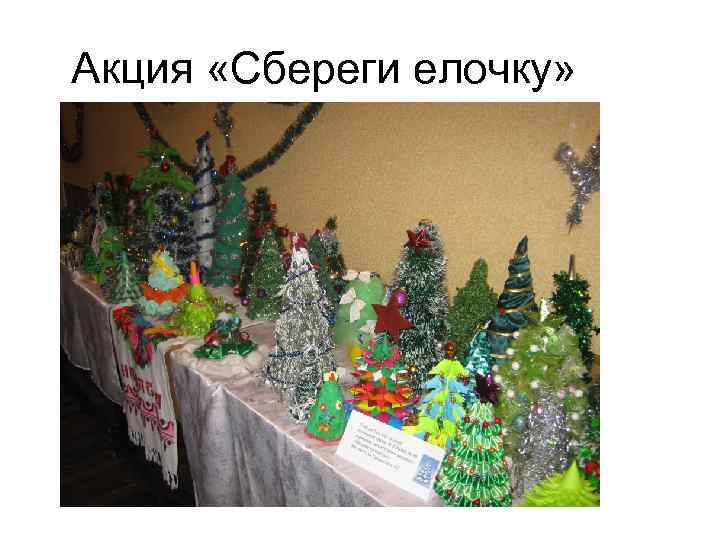 Акция «Сбереги елочку» 