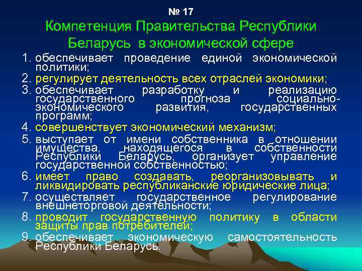  № 17 Компетенция Правительства Республики Беларусь в экономической сфере 1. обеспечивает проведение единой