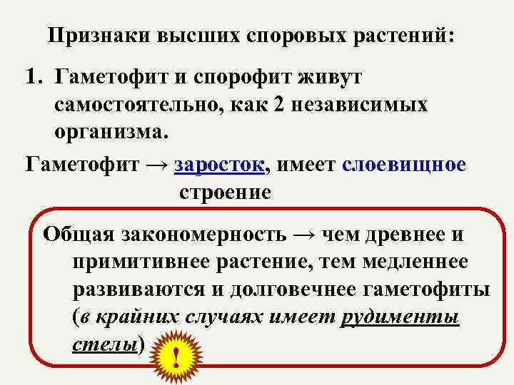 Признаки высших споровых растений: 1. Гаметофит и спорофит живут самостоятельно, как 2 независимых организма.