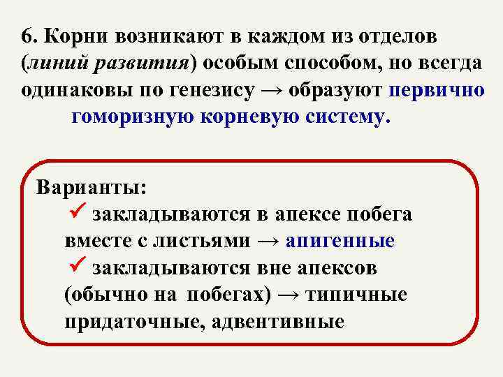 6. Корни возникают в каждом из отделов (линий развития) особым способом, но всегда одинаковы