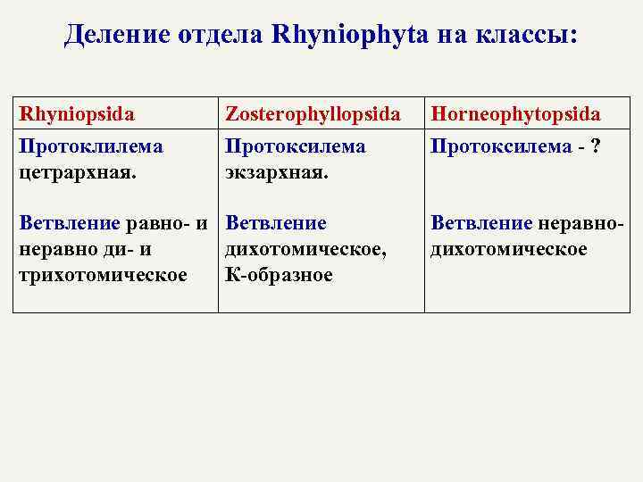 Деление отдела Rhyniophyta на классы: Rhyniopsida Протоклилема цетрархная. Zosterophyllopsida Протоксилема экзархная. Ветвление равно- и