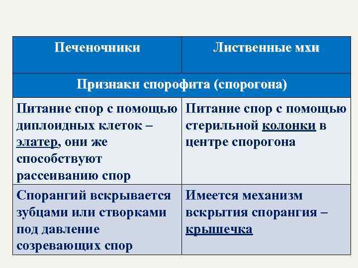 Печеночники Лиственные мхи Признаки спорофита (спорогона) Питание спор с помощью диплоидных клеток – элатер,