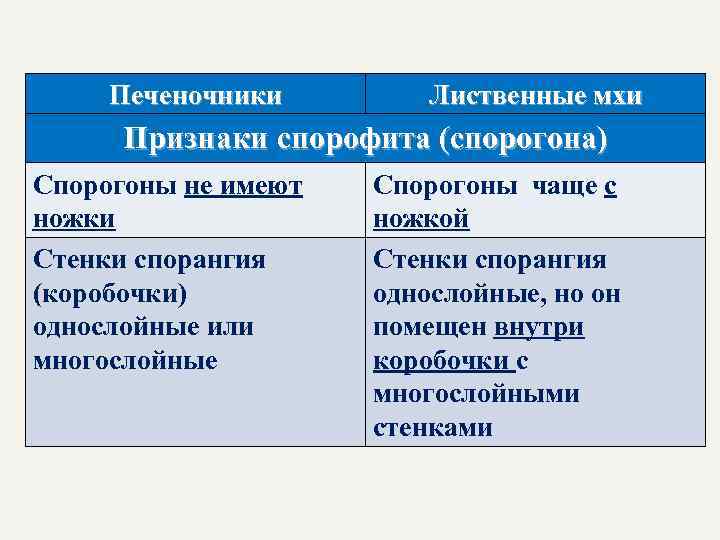 Печеночники Лиственные мхи Признаки спорофита (спорогона) Спорогоны не имеют ножки Стенки спорангия (коробочки) однослойные