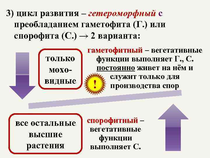 Циклы 3 класс презентация