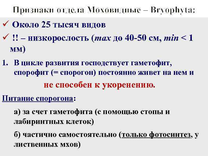 Признаки отдела Моховидные – Bryophyta: ü Около 25 тысяч видов ü !! – низкорослость