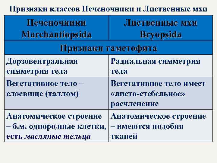 Признаки классов Печеночники и Лиственные мхи Печеночники Лиственные мхи Marchantiopsida Bryopsida Признаки гаметофита Дорзовентральная
