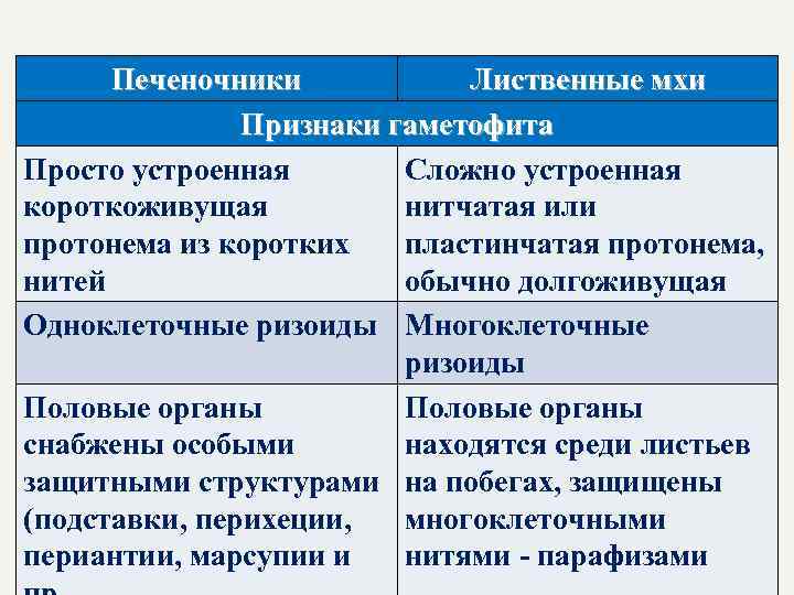 Печеночники Лиственные мхи Признаки гаметофита Просто устроенная Сложно устроенная короткоживущая нитчатая или протонема из