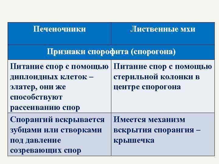Печеночники Лиственные мхи Признаки спорофита (спорогона) Питание спор с помощью диплоидных клеток – элатер,