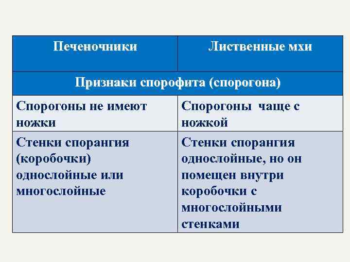 Печеночники Лиственные мхи Признаки спорофита (спорогона) Спорогоны не имеют ножки Стенки спорангия (коробочки) однослойные