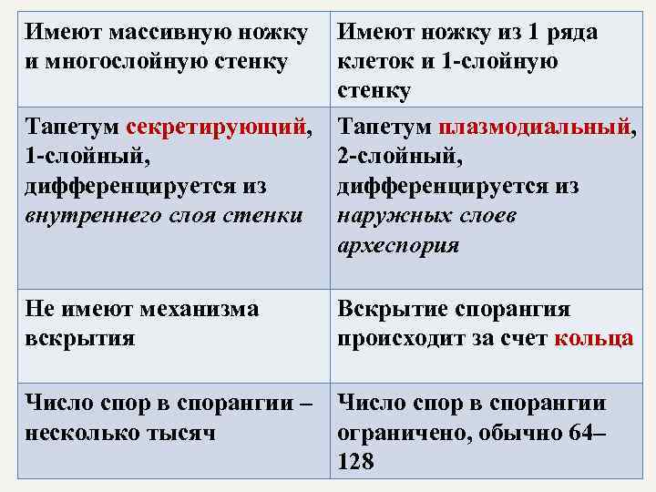 Имеют массивную ножку и многослойную стенку Имеют ножку из 1 ряда клеток и 1