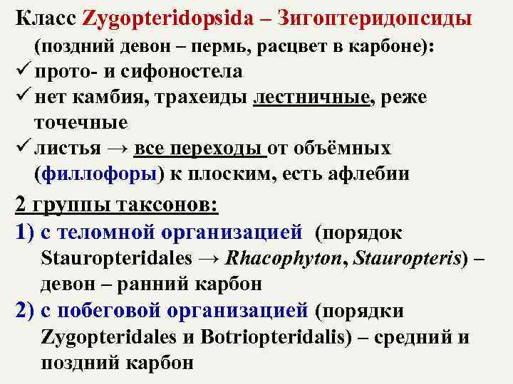 Класс Zygopteridopsida – Зигоптеридопсиды (поздний девон – пермь, расцвет в карбоне): ü прото- и