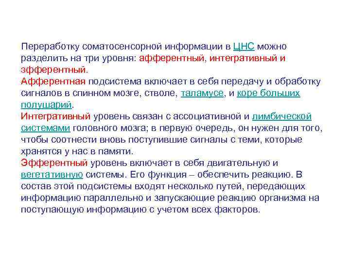 Переработку соматосенсорной информации в ЦНС можно разделить на три уровня: афферентный, интегративный и эфферентный.