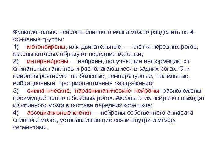 Функционально нейроны спинного мозга можно разделить на 4 основные группы: 1) мотонейроны, или двигательные,