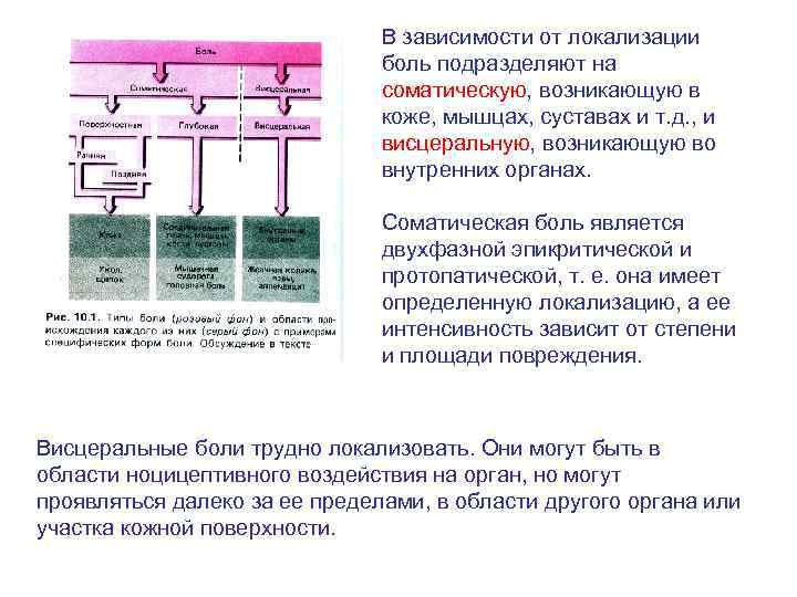 В зависимости от локализации боль подразделяют на соматическую, возникающую в коже, мышцах, суставах и