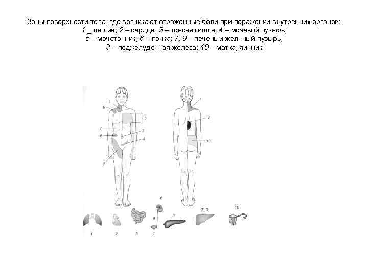 На поверхности тела находятся