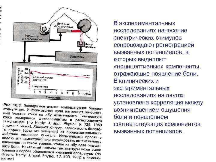 В экспериментальных исследованиях нанесение электрических стимулов сопровождают регистрацией вызванных потенциалов, в которых выделяют «ноцицептивные»