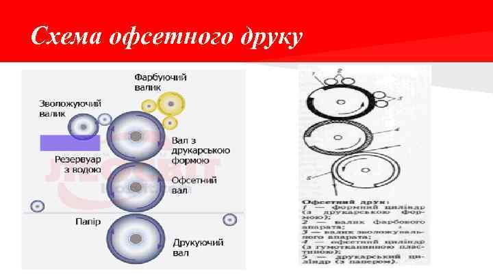 Схема офсетного друку 
