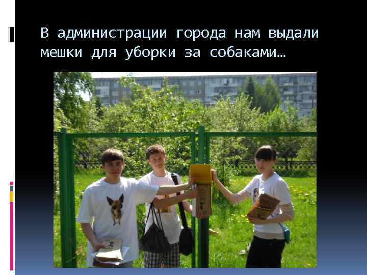 В администрации города нам выдали мешки для уборки за собаками… 