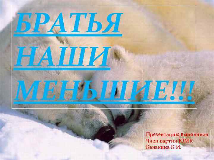 БРАТЬЯ НАШИ МЕНЬШИЕ!!! Презентацию выполнила Член партии ЮМК Канакина К. И. 