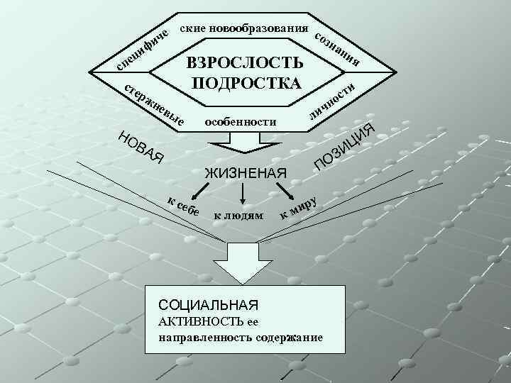 е ич ф и ец сп ст ер ВЗРОСЛОСТЬ ПОДРОСТКА жн НО ские новообразования