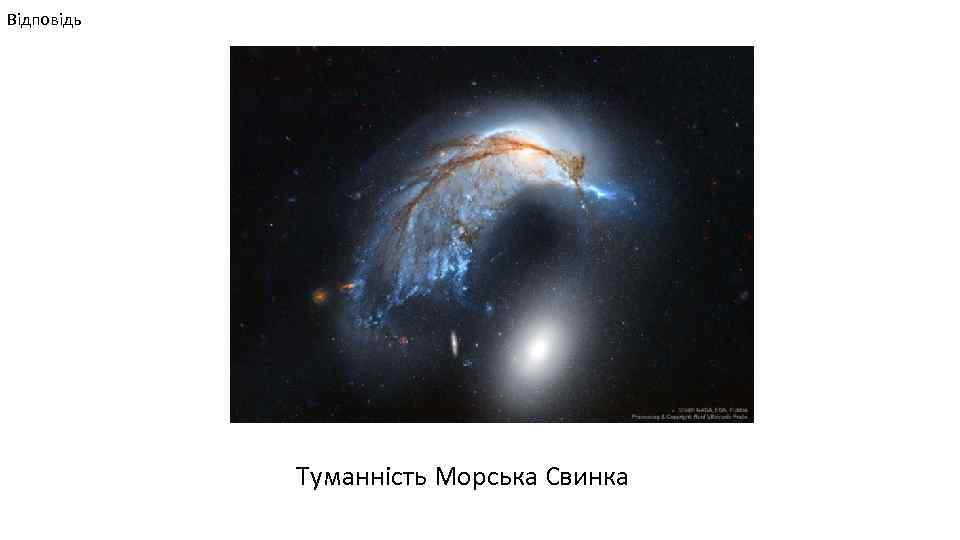 Відповідь Туманність Морська Свинка 