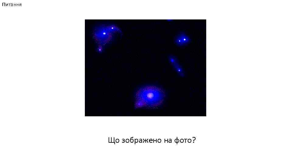 Питання Що зображено на фото? 