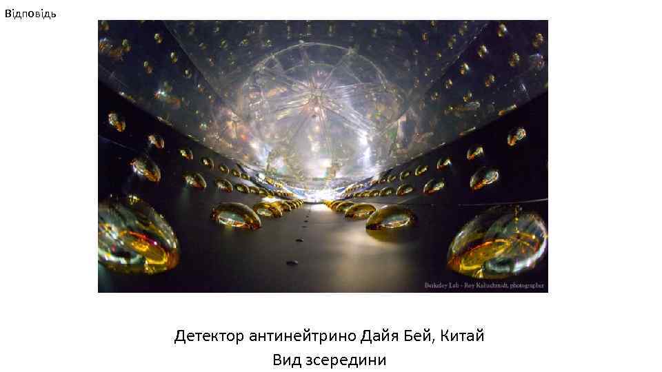 Відповідь Детектор антинейтрино Дайя Бей, Китай Вид зсередини 