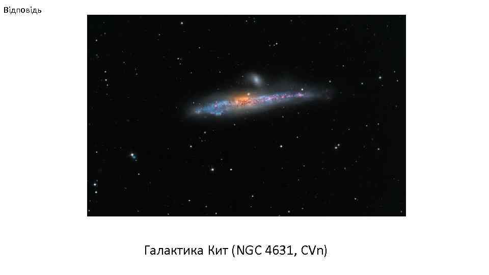 Відповідь Галактика Кит (NGC 4631, CVn) 
