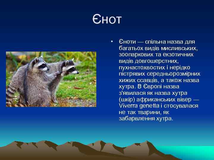 Єнот • Єноти — спільна назва для багатьох видів мисливських, зоопаркових та екзотичних видів