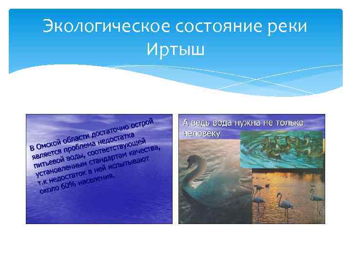 Экологическое состояние реки Иртыш 