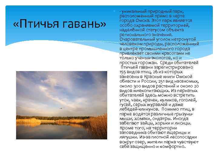  «Птичья гавань» - уникальный природный парк, расположенный прямо в черте города Омска. Этот