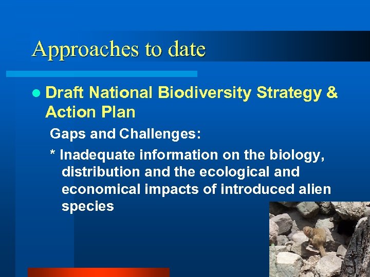 Approaches to date l Draft National Biodiversity Strategy & Action Plan Gaps and Challenges: